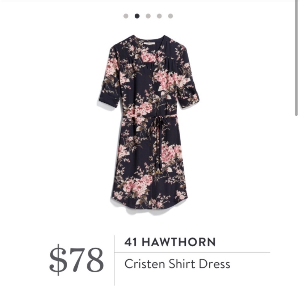 BNWT Briton Ivy Cristen shirt dress M - Picture 1 of 4